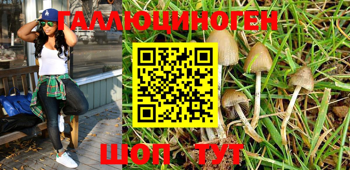 Алексеевка  Псилоцибиновые грибы Psilocybe  Вход с VPN  Псилоцибиновые грибы GOLDEN TEACHER 